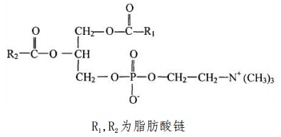 中藥標(biāo)準(zhǔn)品