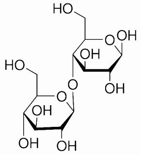 碳水化合物類